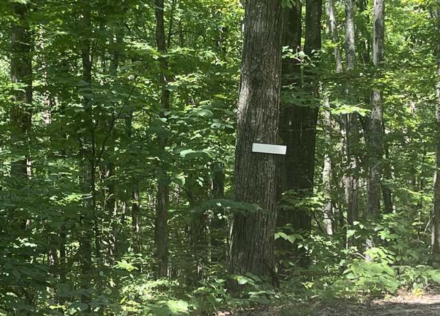 Property at Lot 10 Windswept Cir, Newport, TN 37821