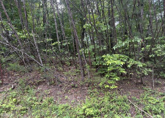 Property at 0 Pleasant Valley Rd, Cosby, TN 37722