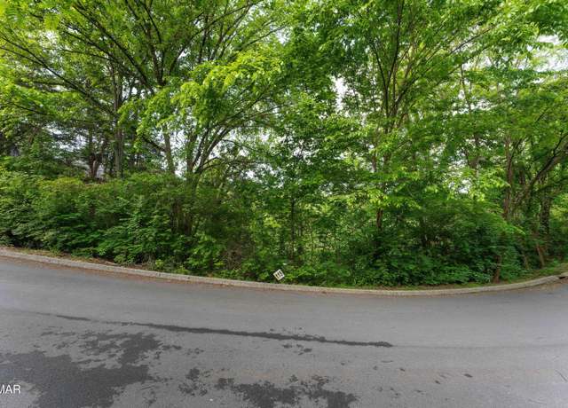 Property at 3 Lots Alpine Mtn, Pigeon Forge, TN 37863