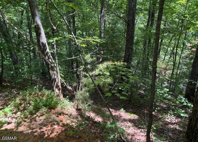 Property at Lot 1302 Balsam Cir, Sevierville, TN 37876