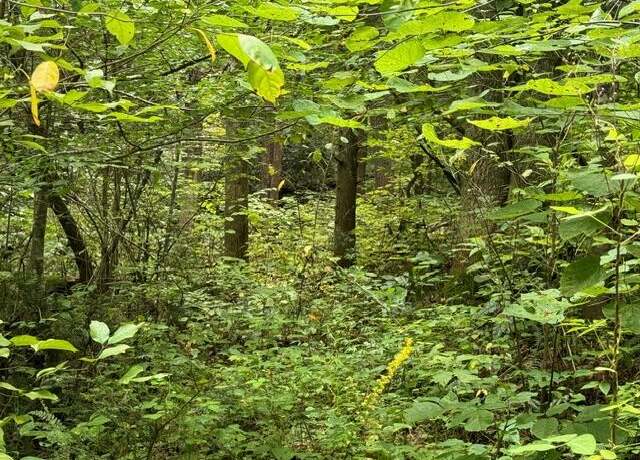 Property at / Vixen Way, Cosby, TN 37722
