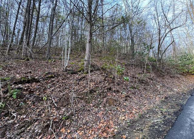 Property at Lot 10 Black Gum Rd, Gatlinburg, TN 37738