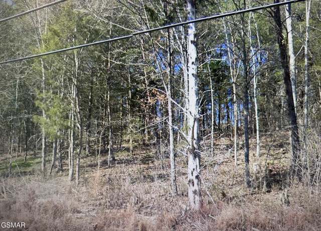 Property at 0 Easy St, Sevierville, TN 37862