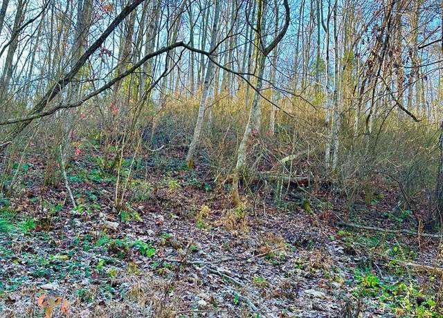 Property at Manis Hollow Rd, Gatlinburg, TN 37738