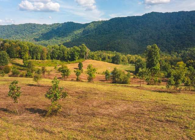 Property at War Creek Rd, Eidson, TN 37731