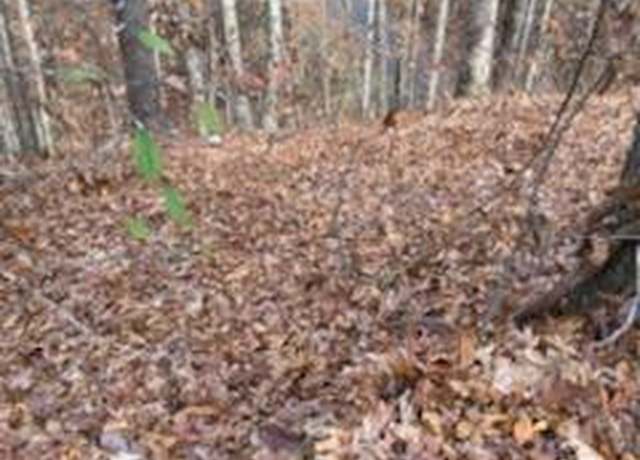 Property at - Gold Dust Dr, Pigeon Forge, TN 37863