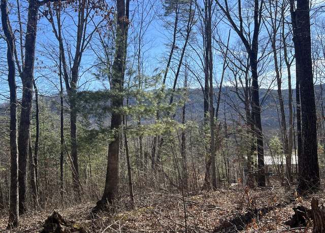 Property at 1012 Country Mountain Rd, Cosby, TN 37722