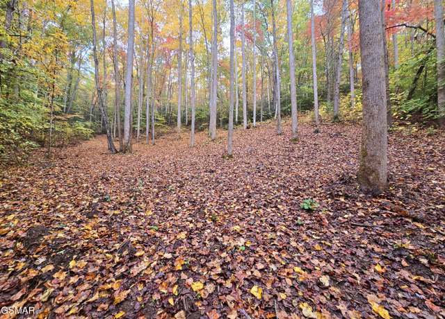 Property at 0 Cara Way, Cosby, TN 37722