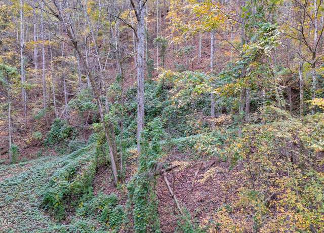 Property at Lots 1,2,3 Timber Grove Rd, Sevierville, TN 37862