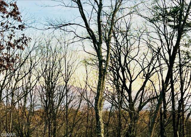 Property at 159 Summit Trails Dr, Sevierville, TN 37862