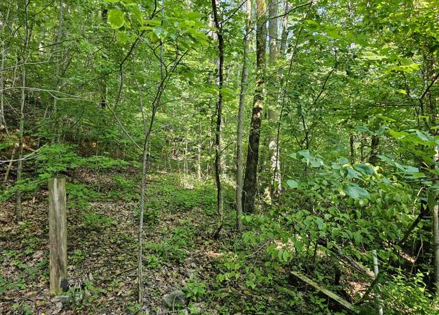 Property at Lot 10 Kristina Way, Sevierville, TN 37862