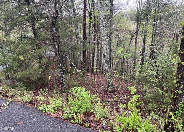 Property at Lot 1 Mountain View Ln, Pigeon Forge, TN 37863