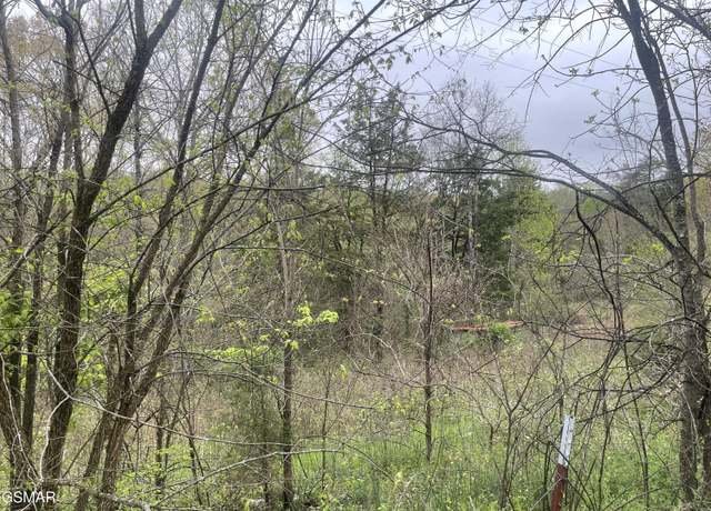 Property at 952 Stokes Valley Way, Parrottsville, TN 37843