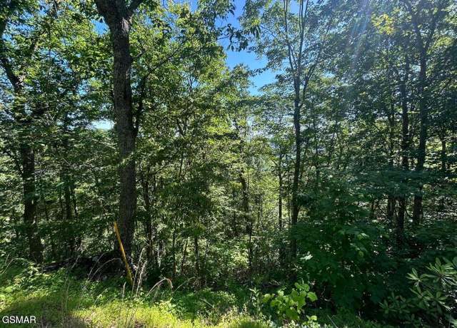 Property at Lot 1R Overholt Trl, Sevierville, TN 37862