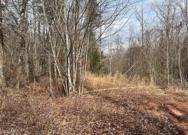 Property at Lot 30 Blue Springs Way, Newport, TN 37821