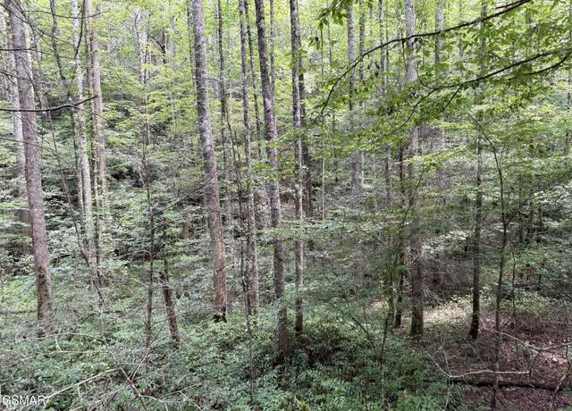 Property at 67 acres Bryant Hollow Way, Sevierville, TN 37876