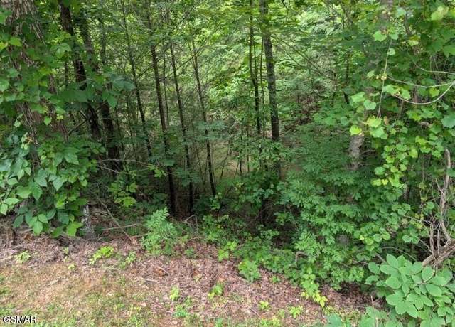 Property at 0000 Ski Mtoutain rd Rd, Gatlinburg, TN 37738