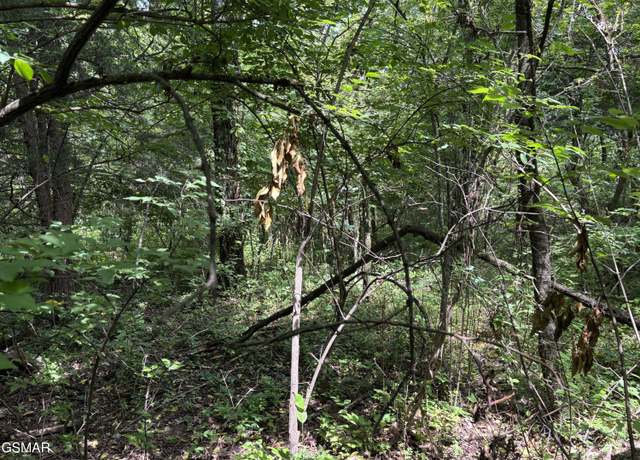 Property at Lot 8 Red Bud Rd, Newport, TN 37821