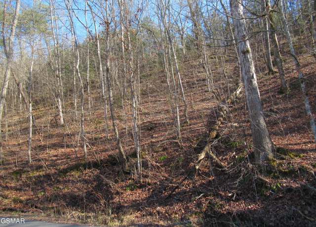 Property at 13 Acres Kerr Rd, Sevierville, TN 37876