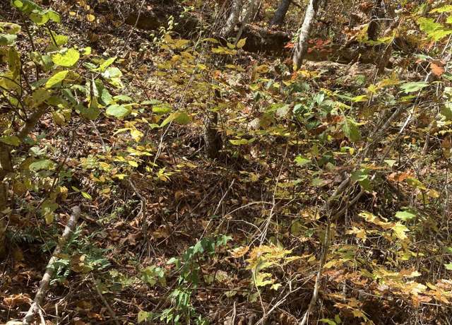 Property at Lot 3 Sec Meadow View Rd, Sevierville, TN 37862