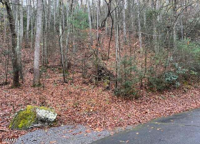 Property at Lot 1 Big Buck Trl, Townsend, TN 37882