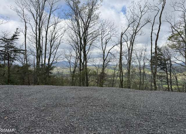 Property at 3.93 Green Forest Rd, Cosby, TN 37722