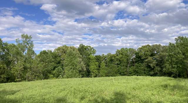 Photo of 24.265 S Mohawk Rd, Midway, TN 37809