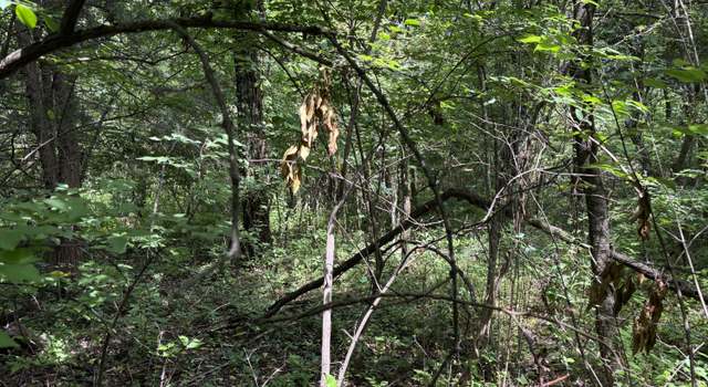 Photo of Lot 8 Red Bud Rd, Newport, TN 37821