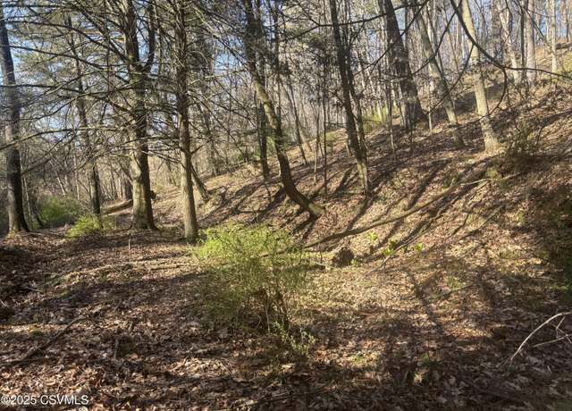 Property at Mellick Hollow Rd, Bloomsburg, PA 17815