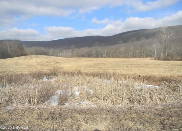 Property at Pa-42 Hwy, Unityville, PA 17774