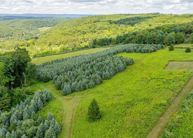 Property at Whitehorse Pike Rd, Millville, PA 17846