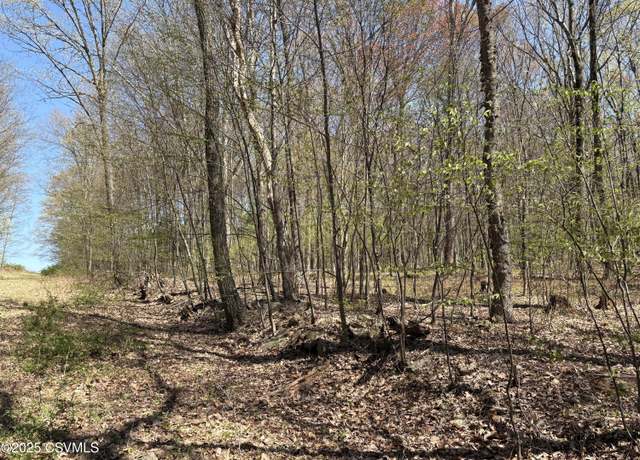 Property at Dog Leg Ln, Catawissa, PA 17820