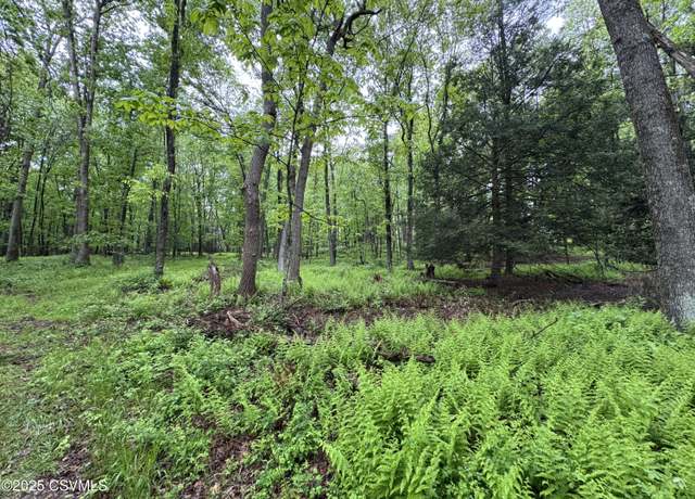 Property at Neufer Hollow Rd, Muncy, PA 17756