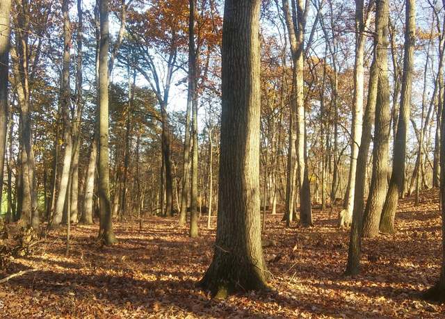 Property at LOT 4 Milroy Rd, New Columbia, PA 17856