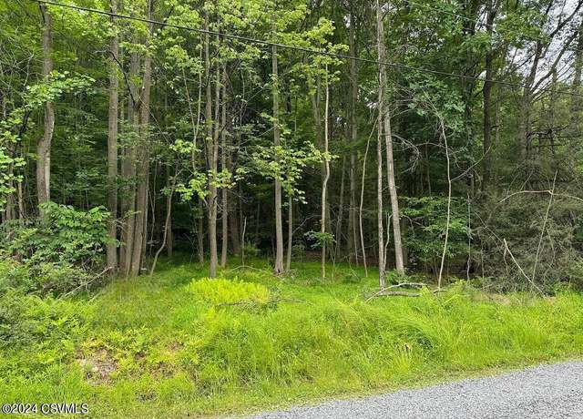 Property at Laurel Run Rd, Shickshinny, PA 18655
