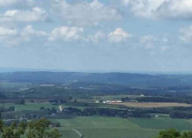 Property at 163 Evergreen Ln, Catawissa, PA 17820