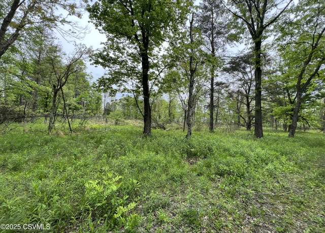 Property at Lot 1 Ave, Ralpho, PA 17872