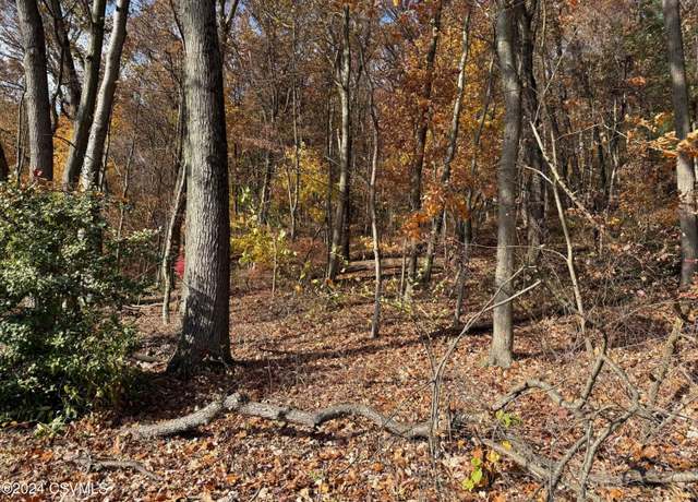 Property at Sycamore Dr, Catawissa, PA 17820