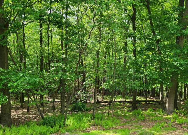 Property at Mountain Rd, Shamokin, PA 17872