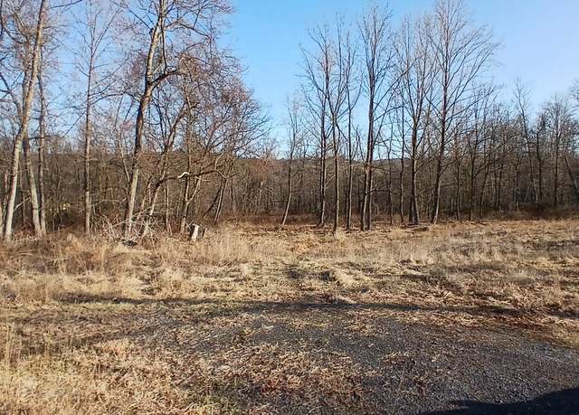 Property at LOT #7 Mountain Rd, Paxinos, PA 17860