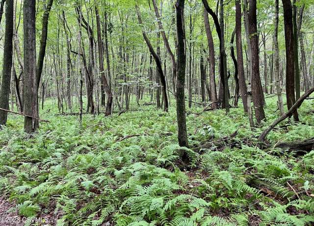 Property at Mine Gap Rd, Catawissa, PA 17820