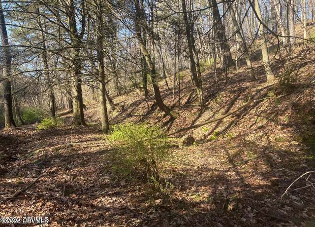 Property at Mellick Hollow Rd, Bloomsburg, PA 17815