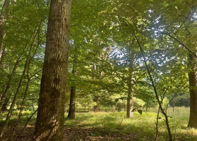 Property at 0 Neiltown Rd, Pleasantville, PA 16341