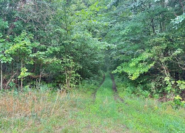 Property at 00 Deckards Run Rd, Utica, PA 16362