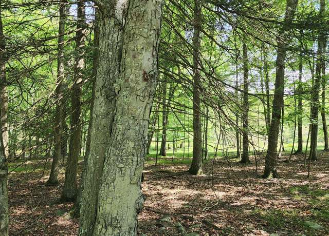 Property at Lot 91 Pocono Mountain Lake Dr, Bushkill, PA 18324