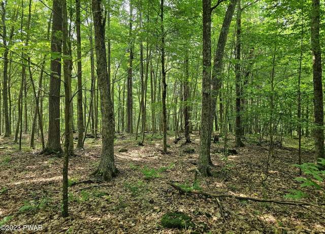 Property at Lot 61 Rock Run Rd, Equinunk, PA