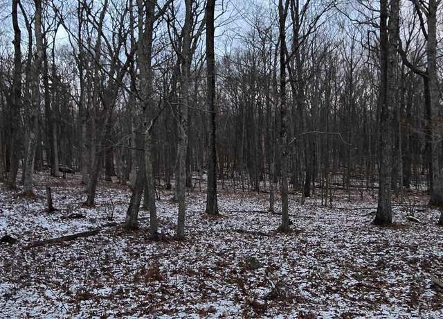 Property at Ledgeway Dr, Dingmans Ferry, PA 18328