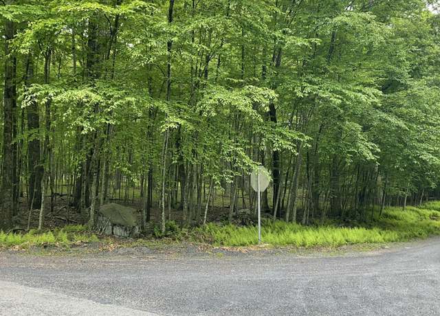 Property at 147 Ledgeway Dr Dr, Dingmans Ferry, PA 18328
