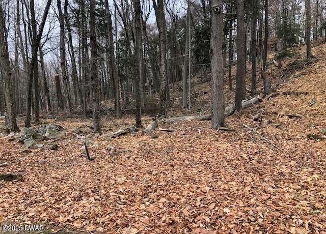 Property at 647 Larch Ln, Greentown, PA 18426