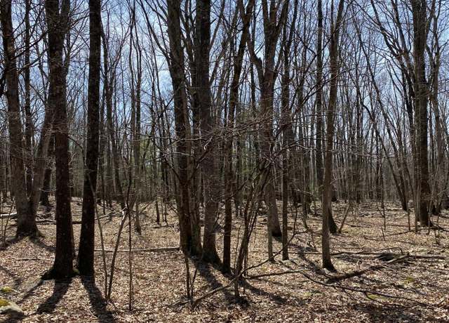 Property at Lot 116 Beech Tree Ct, Hawley, PA 18428